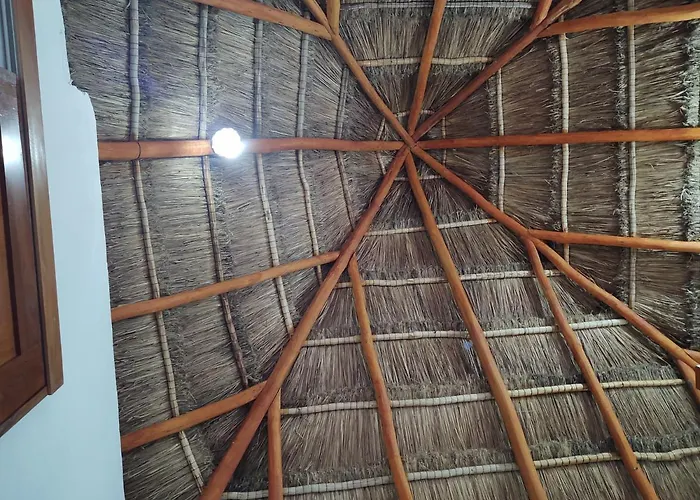 Hôtel accueillant les animaux: Tulum Riviera Maya